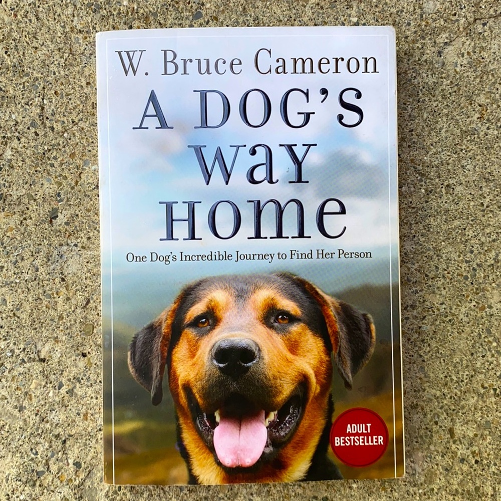 A dogs way home book